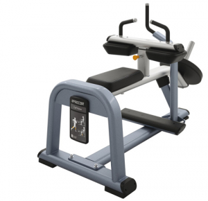 PRECOR Discovery Series Plate Loaded Line Calf Raise 616s