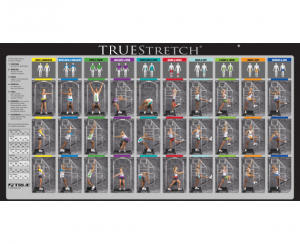 TRUE FITNESS Truestretch 800SS s