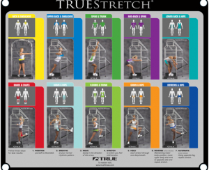 TRUE FITNESS Truestretch 800SS s