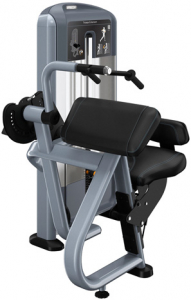 PRECOR Discovery Series Selectorised Line Tricep Extension DSL208s