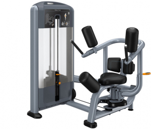 PRECOR Discovery Series Selectorised Line Rotary Torso DSL315 s