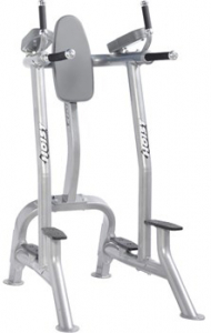 HOIST Commercial Freeweight Line Vertical Knee Raise/Dip CF-3252s