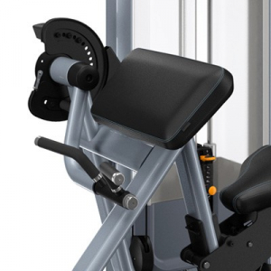 PRECOR Discovery Series Selectorised Line Bicep Curl DSL204s