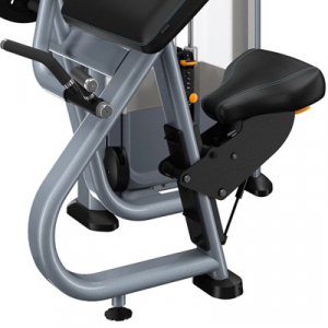 PRECOR Discovery Series Selectorised Line Bicep Curl DSL204s