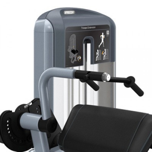 PRECOR Discovery Series Selectorised Line Tricep Extension DSL208s