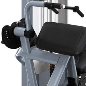 PRECOR Discovery Series Selectorised Line Tricep Extension DSL208s