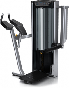 PRECOR Discovery Series Selectorised Line Seated Dip DSL215s