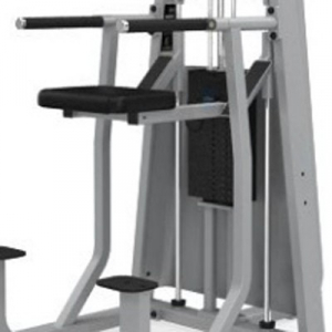 PRECOR/ICARIAN Icarian Selectorized Machines Dip Chin Assist CW320s