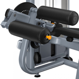 PRECOR Discovery Series Selectorised Line Seated Leg Curl DSL619 s