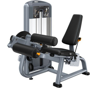 PRECOR Discovery Series Selectorised Line Seated Leg Curl DSL619 s