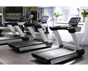 INTENZA Entertainment 550TE2s