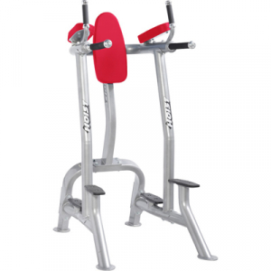 HOIST Commercial Freeweight Line Vertical Knee Raise/Dip CF-3252s