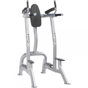 HOIST Commercial Freeweight Line Vertical Knee Raise/Dip CF-3252s