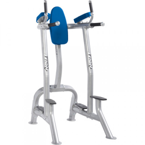 HOIST Commercial Freeweight Line Vertical Knee Raise/Dip CF-3252s