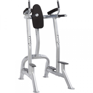 HOIST Commercial Freeweight Line Vertical Knee Raise/Dip CF-3252s